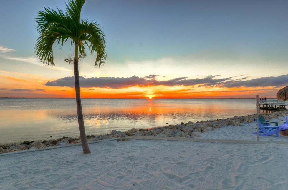 441-Waterfront, Amazing Views, Wifi, Pool And Close To Bucs Stadium Tampa Exterior foto