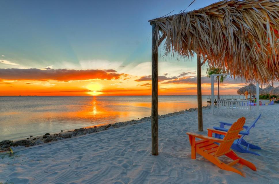 441-Waterfront, Amazing Views, Wifi, Pool And Close To Bucs Stadium Tampa Exterior foto